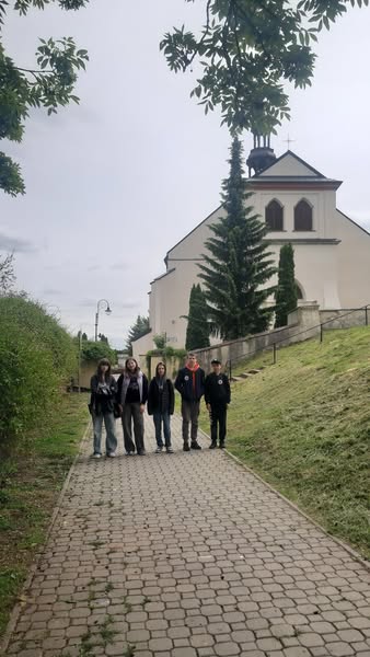 lokietek