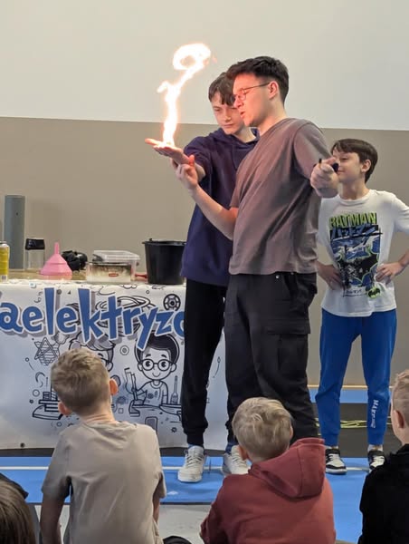 zaelekt
