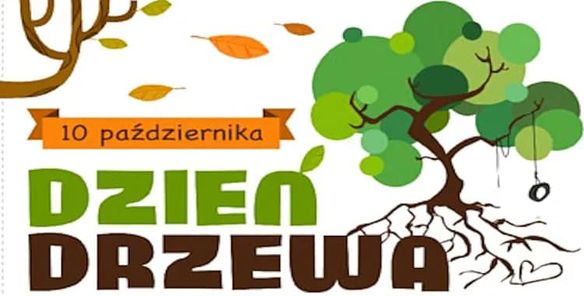 drzewo